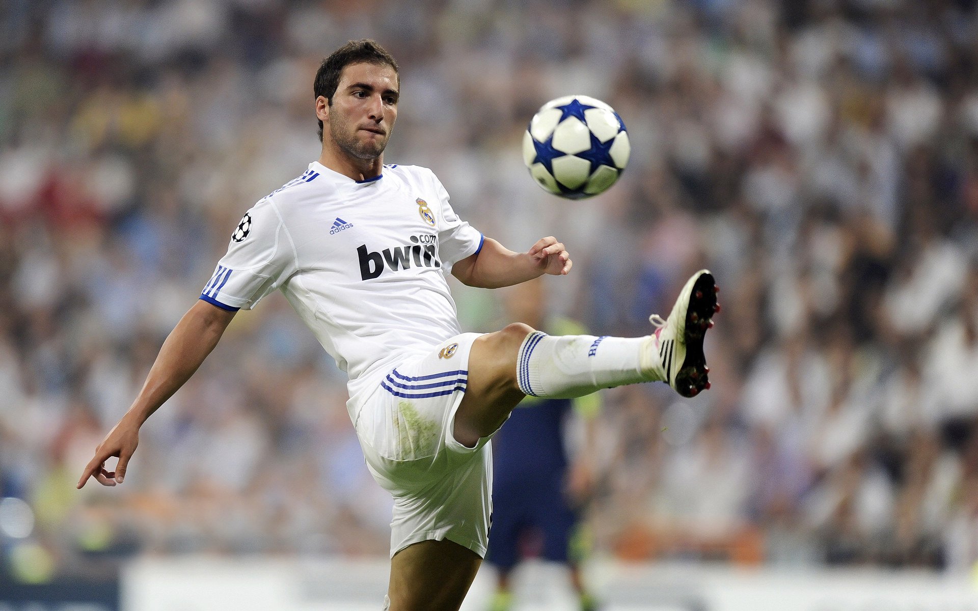 “野外追逐”——荒漠、山地、雪原的极限角逐，野外雪景图片